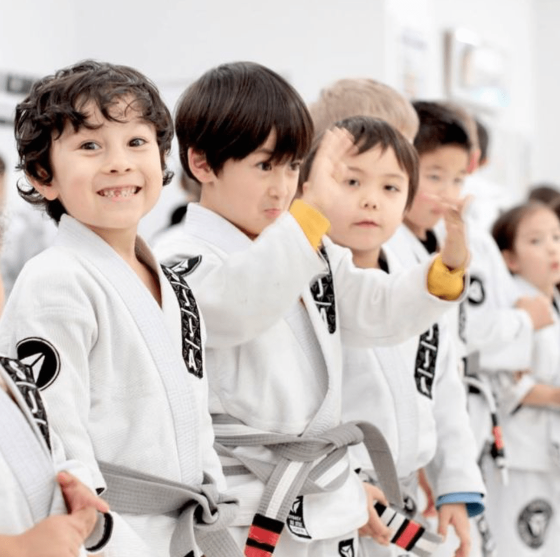 SJJA Hornsby student in blue belt, Brazilian Jiu-Jitsu near Asquith